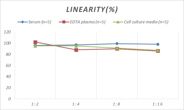 Mouse Cdk5 ELISA Kit (Colorimetric)