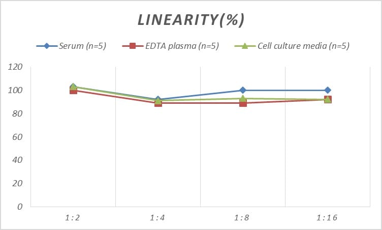 Human Cdk9 ELISA Kit (Colorimetric)