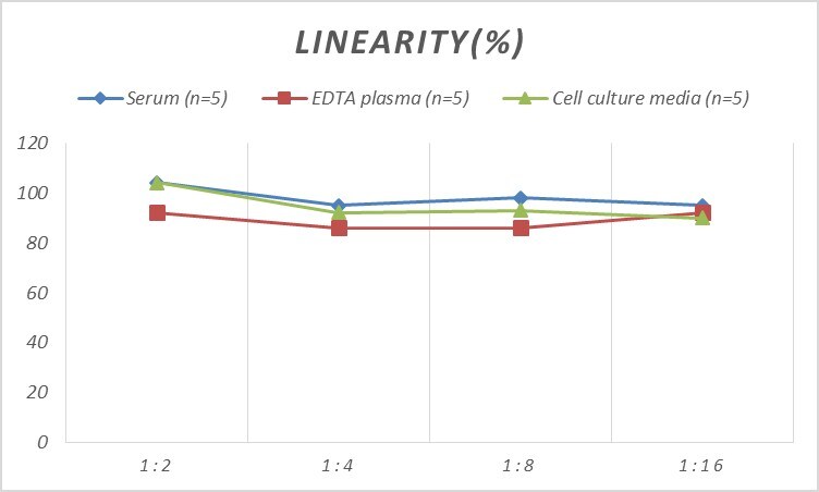 Rat Cdk9 ELISA Kit (Colorimetric)