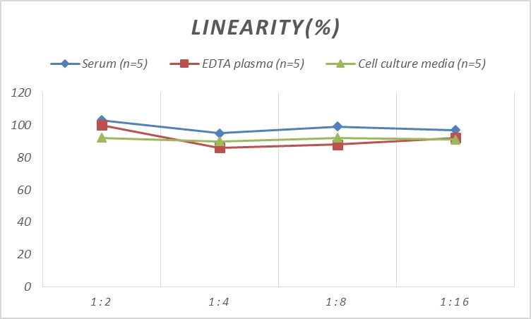 Mouse p21/CIP1/CDKN1A ELISA Kit (Colorimetric)