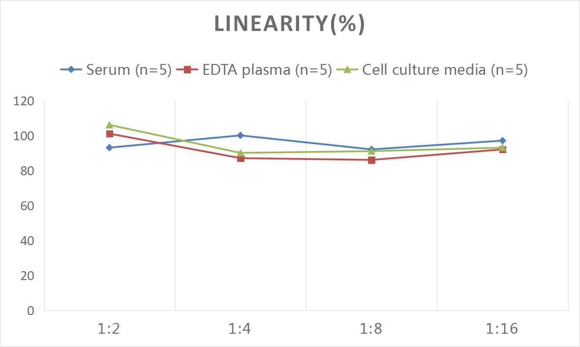Rat CEACAM5/CD66e ELISA Kit (Colorimetric)