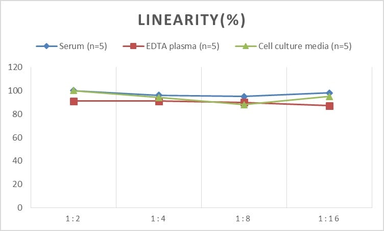 Mouse CEBP Delta ELISA Kit (Colorimetric)