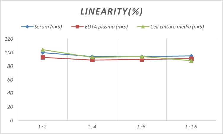Rat CENPE ELISA Kit (Colorimetric)