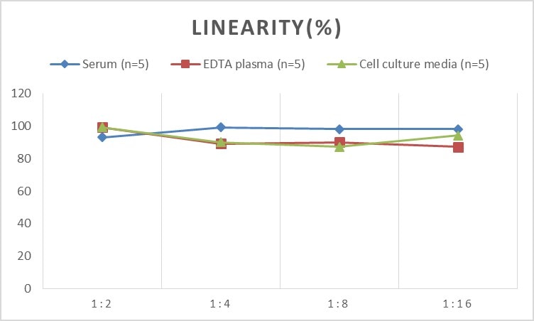 Human CENPF ELISA Kit (Colorimetric)