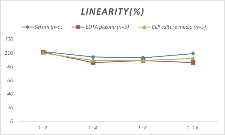 Rat Complement Factor B ELISA Kit (Colorimetric)