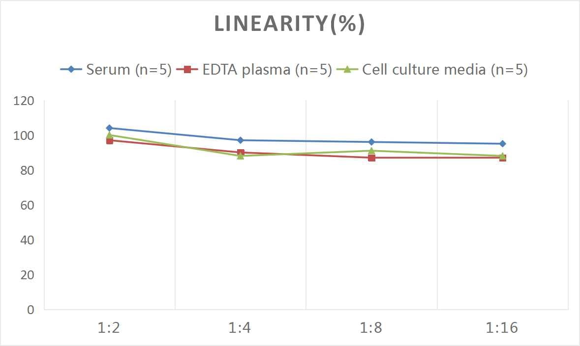 Human Complement Factor H-related 3/CFHR3 ELISA Kit (Colorimetric)