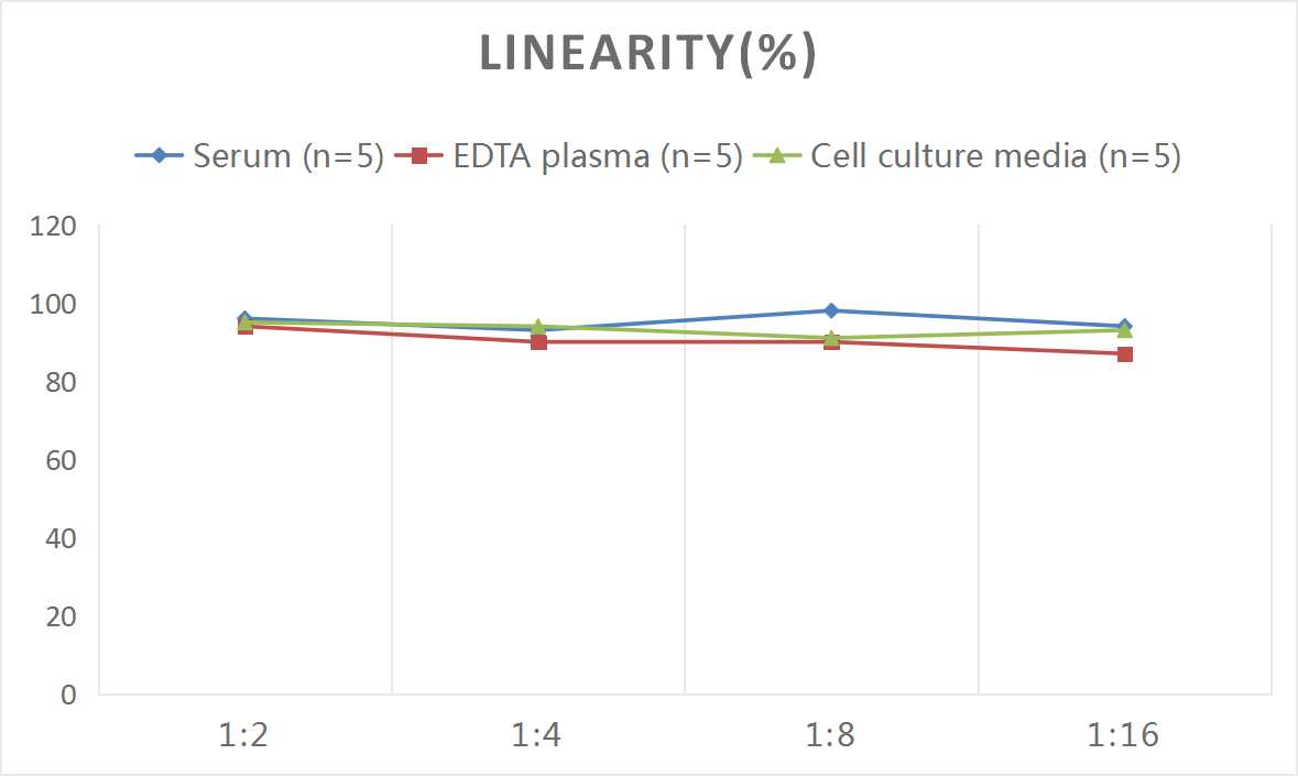 Human Complement Factor H-related 4/CFHR4 ELISA Kit (Colorimetric)