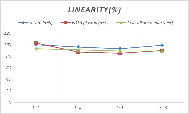 Human Choline Acetyltransferase/ChAT ELISA Kit (Colorimetric)