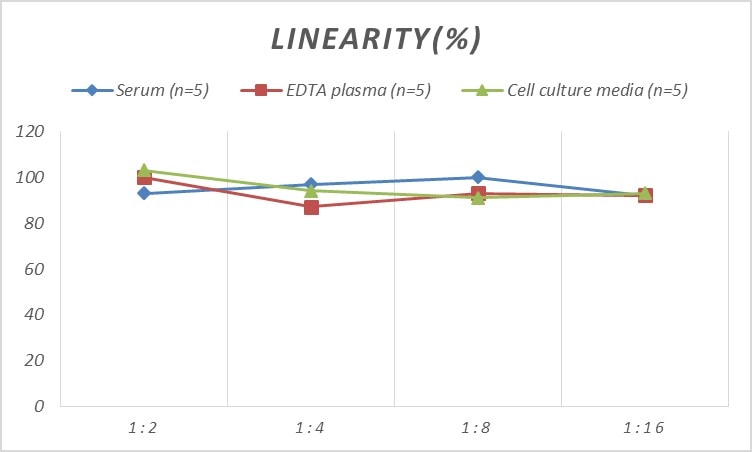 Human CHD5 ELISA Kit (Colorimetric)
