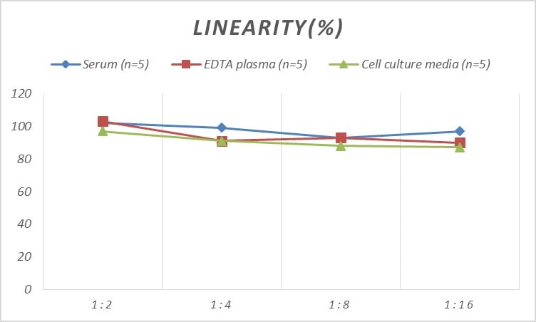 Rat Chemerin ELISA Kit (Colorimetric)