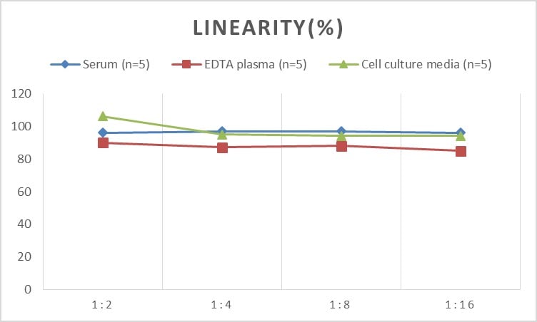 Human Muscarinic Acetylcholine Receptor M2/CHRM2 ELISA Kit (Colorimetric)