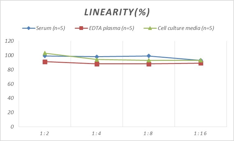 Rat Muscarinic Acetylcholine Receptor M2/CHRM2 ELISA Kit (Colorimetric)