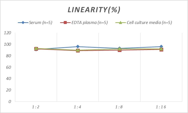 Rat Chemokine-like factor ELISA Kit (Colorimetric)
