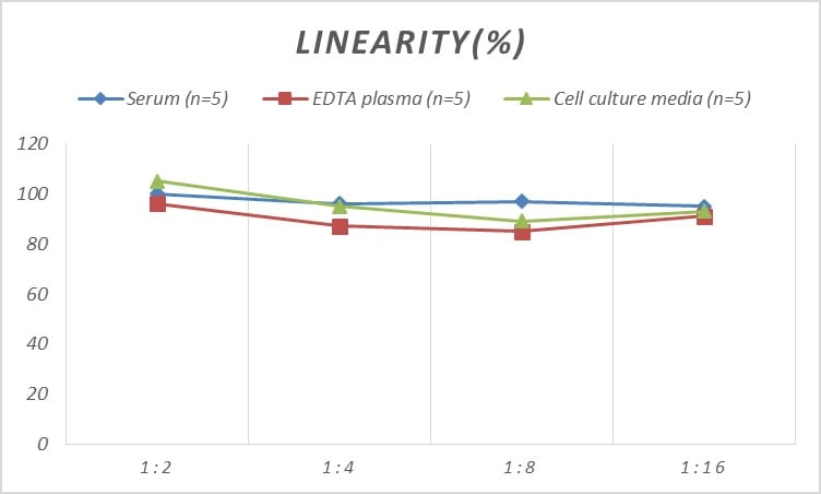 Human CMTM6 ELISA Kit (Colorimetric)