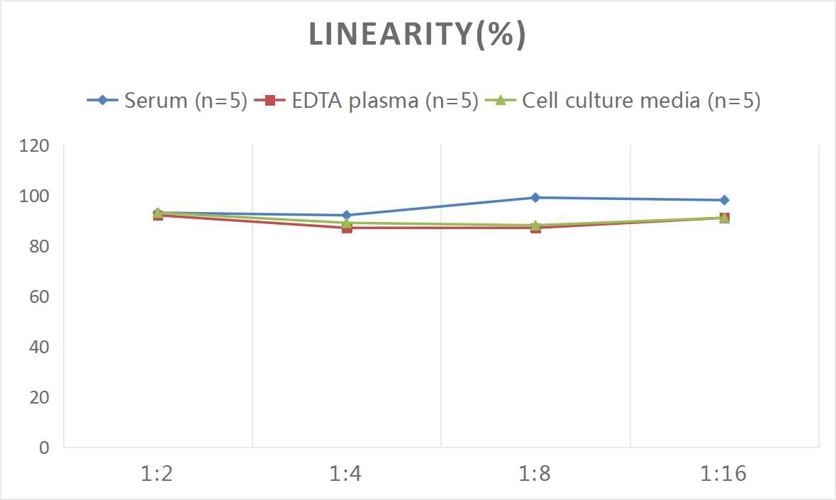 Rat Creatine Kinase, Muscle/CKMM ELISA Kit (Colorimetric)