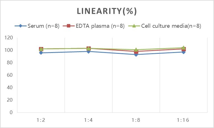 Rabbit Creatine Kinase MB ELISA Kit (Colorimetric)