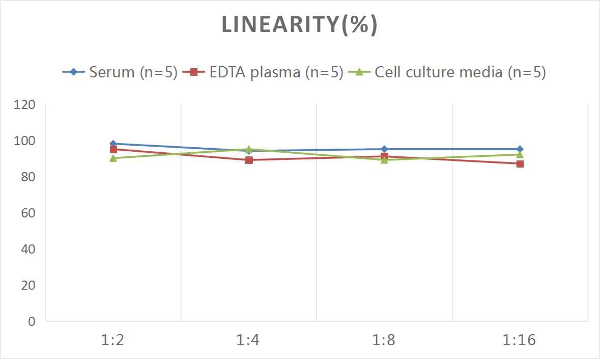 Mouse Creatine Kinase MB ELISA Kit (Colorimetric)