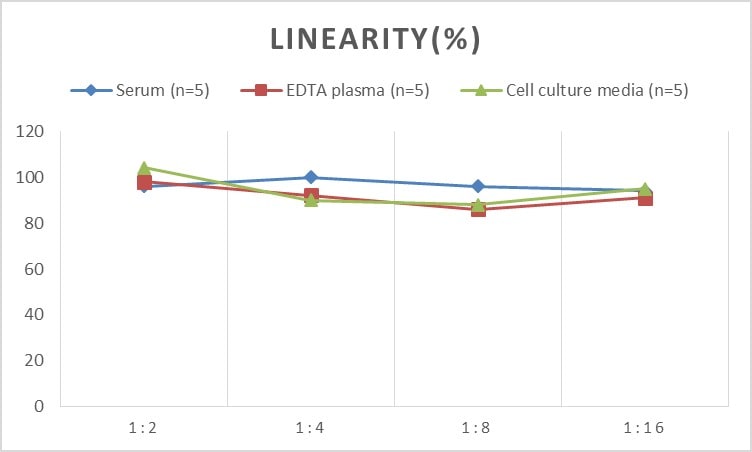Human Creatine kinase MT 1A ELISA Kit (Colorimetric)