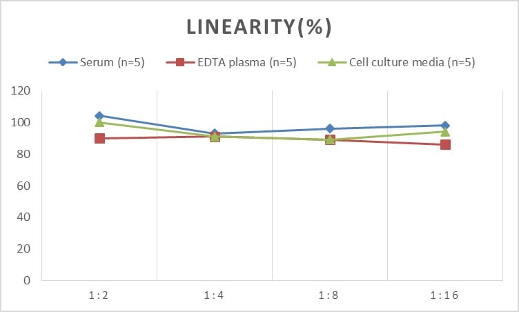 Mouse CLC ELISA Kit (Colorimetric)