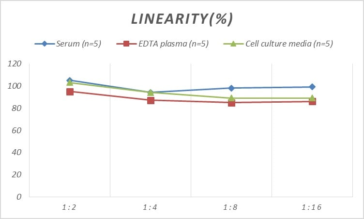 Rat CLC ELISA Kit (Colorimetric)