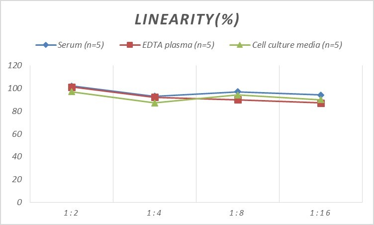 Human Claudin-11 ELISA Kit (Colorimetric)