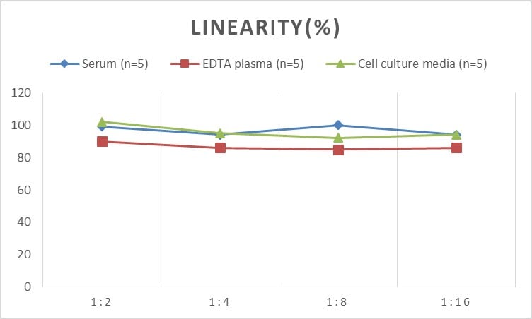 Human Claudin-14 ELISA Kit (Colorimetric)