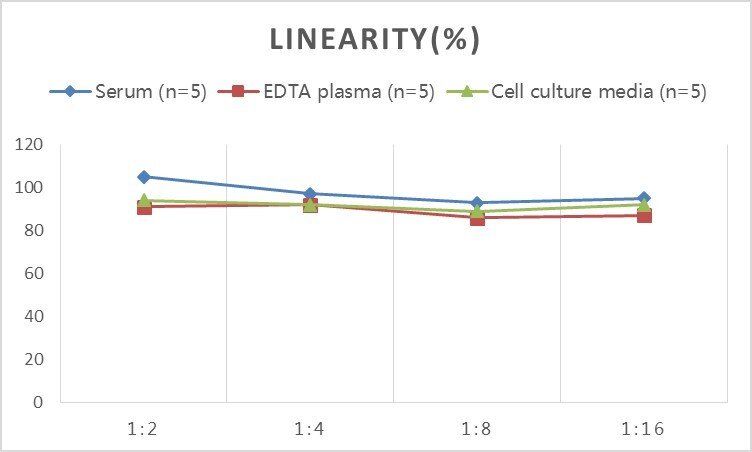 Rat Claudin-5 ELISA Kit (Colorimetric)
