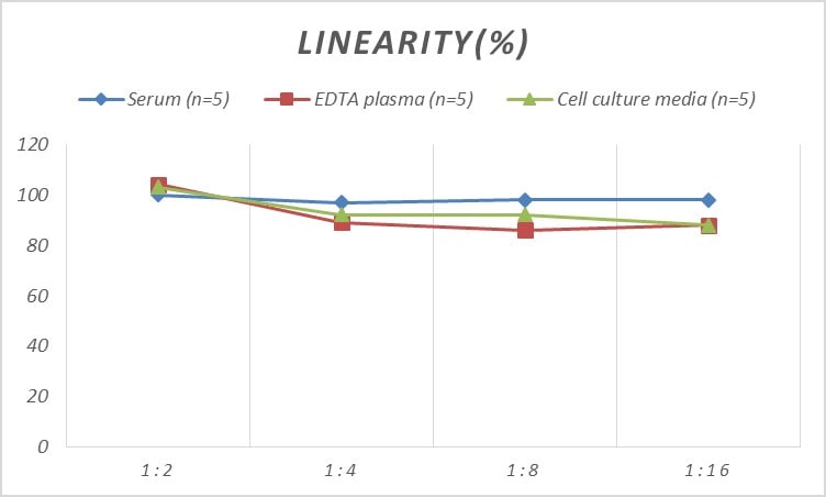 Rat CLS1 ELISA Kit (Colorimetric)