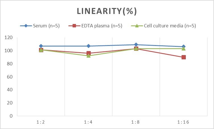 Human Fascin ELISA Kit (Chemiluminescence)