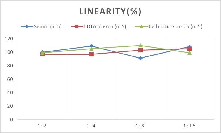 Mouse p53 ELISA Kit (Chemiluminescence)