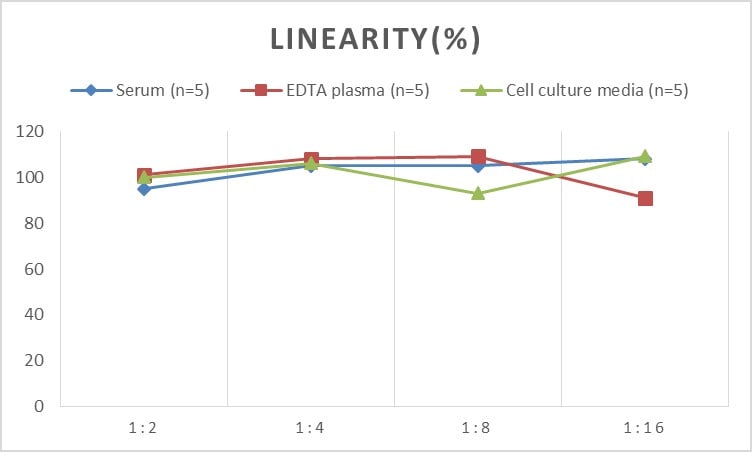 Rat p53 ELISA Kit (Chemiluminescence)