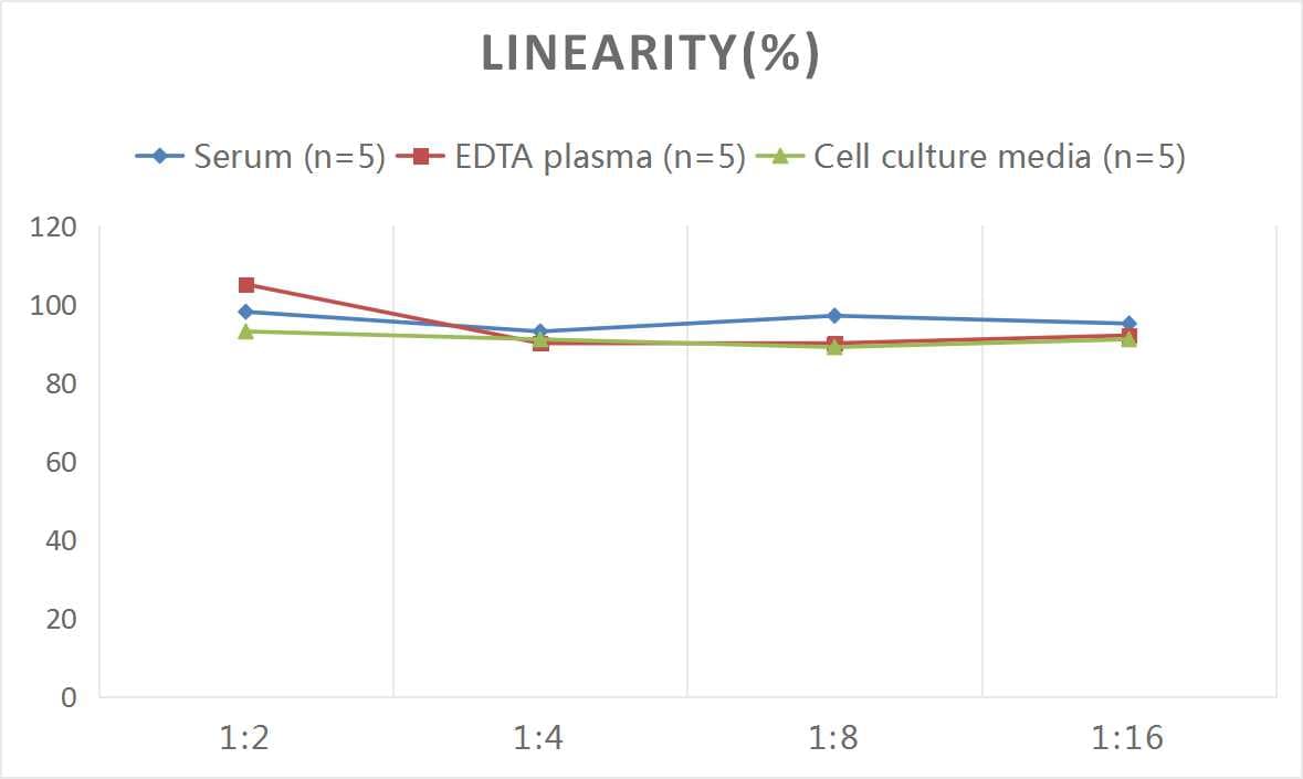 Rat p53 ELISA Kit (Colorimetric)