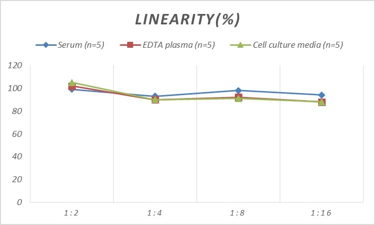 Rat Gremlin 1 ELISA Kit (Colorimetric)