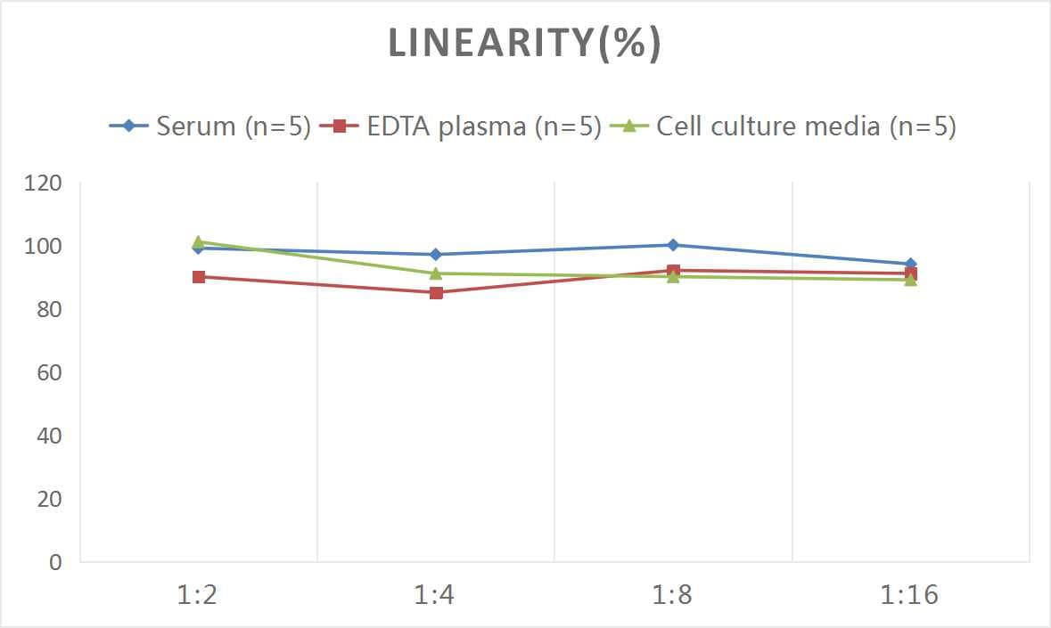 Rat LBP ELISA Kit (Colorimetric)
