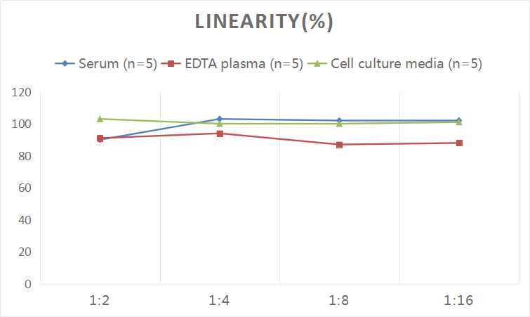Human CXCL12/SDF-1 ELISA Kit (Colorimetric)