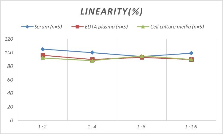 Mouse SDF2 ELISA Kit (Colorimetric)