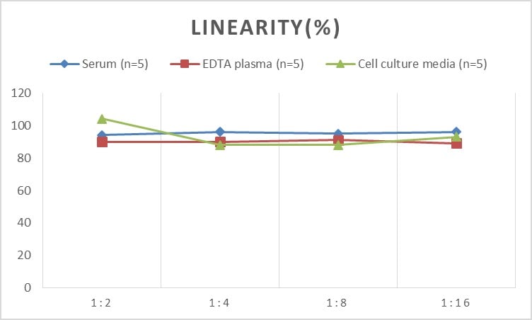 Human SDF2 ELISA Kit (Colorimetric)