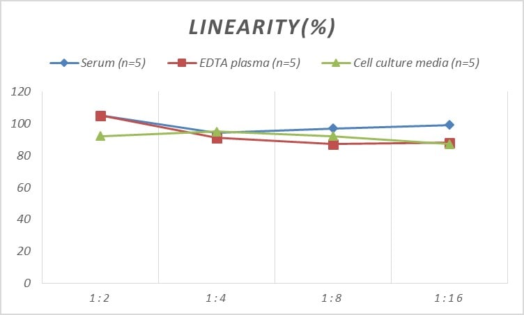Human SDF2L1 ELISA Kit (Colorimetric)