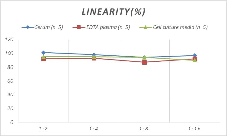 Mouse SDF2L1 ELISA Kit (Colorimetric)