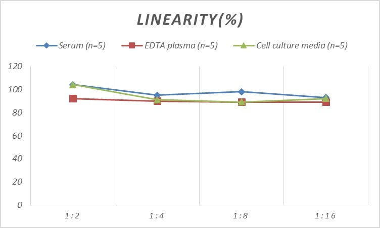 Rat SDF2L1 ELISA Kit (Colorimetric)