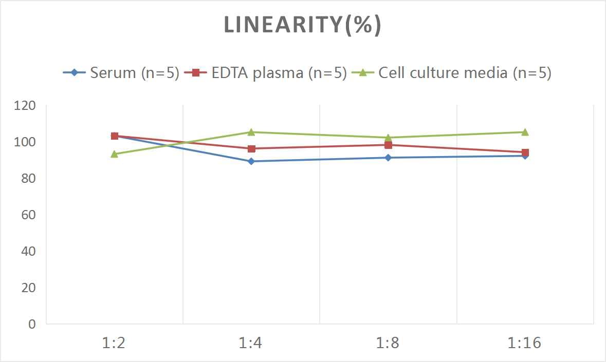 Rat CNP/NPPC ELISA Kit (Colorimetric)