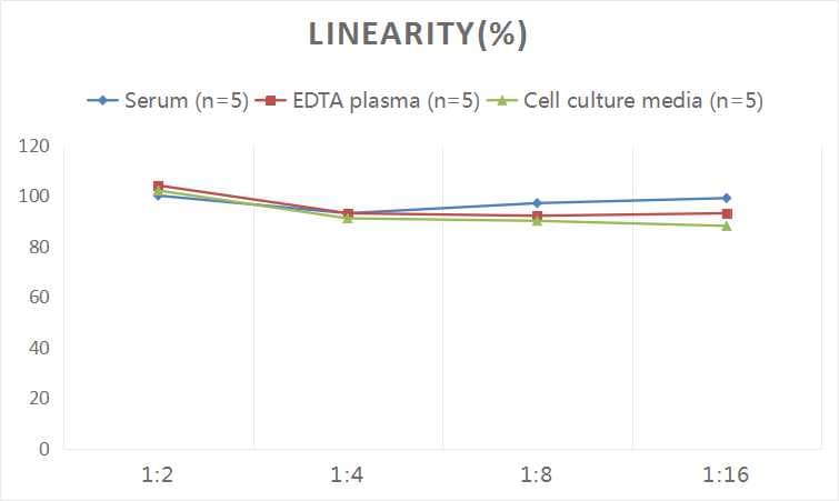 Human Calnexin ELISA Kit (Colorimetric)