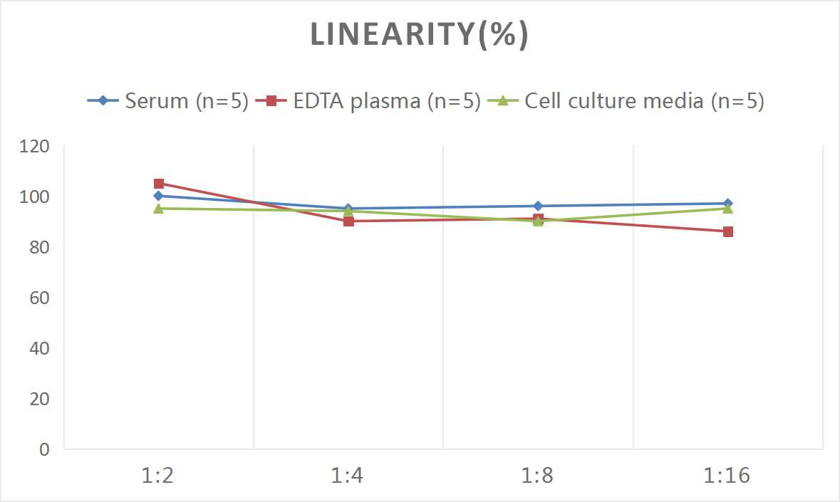 Mouse Calnexin ELISA Kit (Colorimetric)