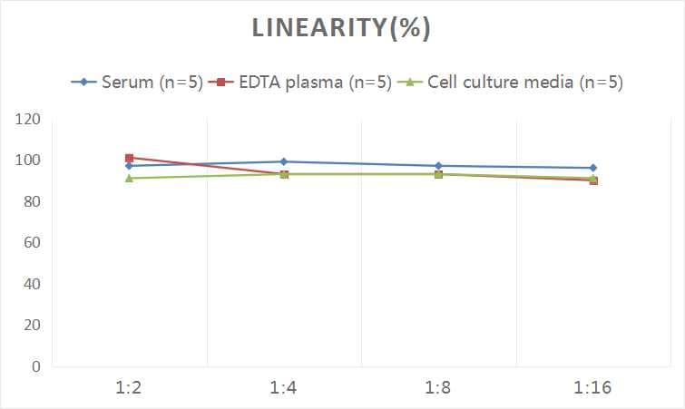 Human COL14A1 ELISA Kit (Colorimetric)