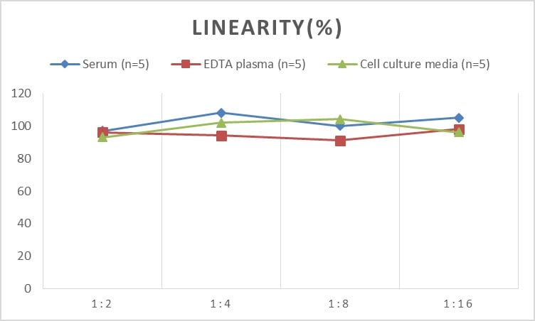 Human COL15A1 ELISA Kit (Chemiluminescence)