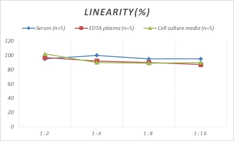 Rat COL1A2 ELISA Kit (Colorimetric)
