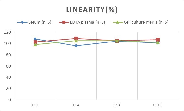 Mouse Collagen II ELISA Kit (Chemiluminescence)