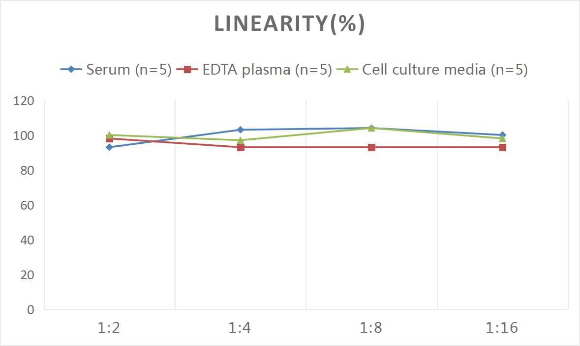Mouse Collagen II ELISA Kit (Colorimetric)