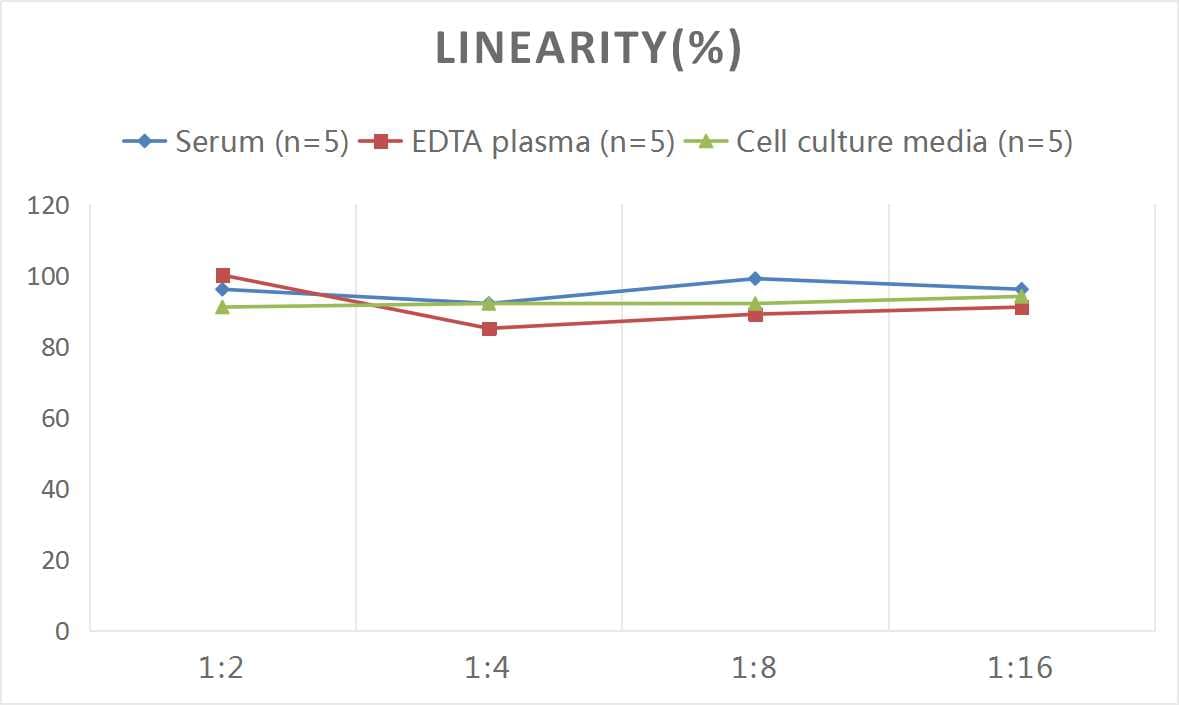 Rat Collagen III ELISA Kit (Colorimetric)