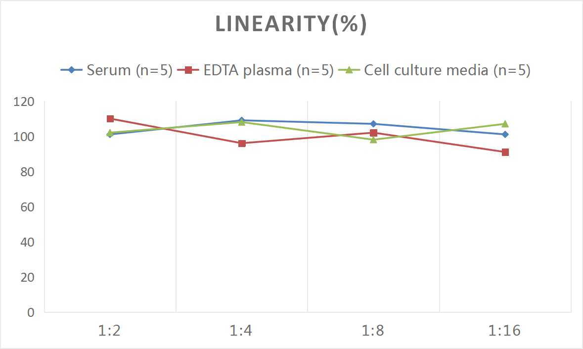 Human Collagen VI ELISA Kit (Chemiluminescence)